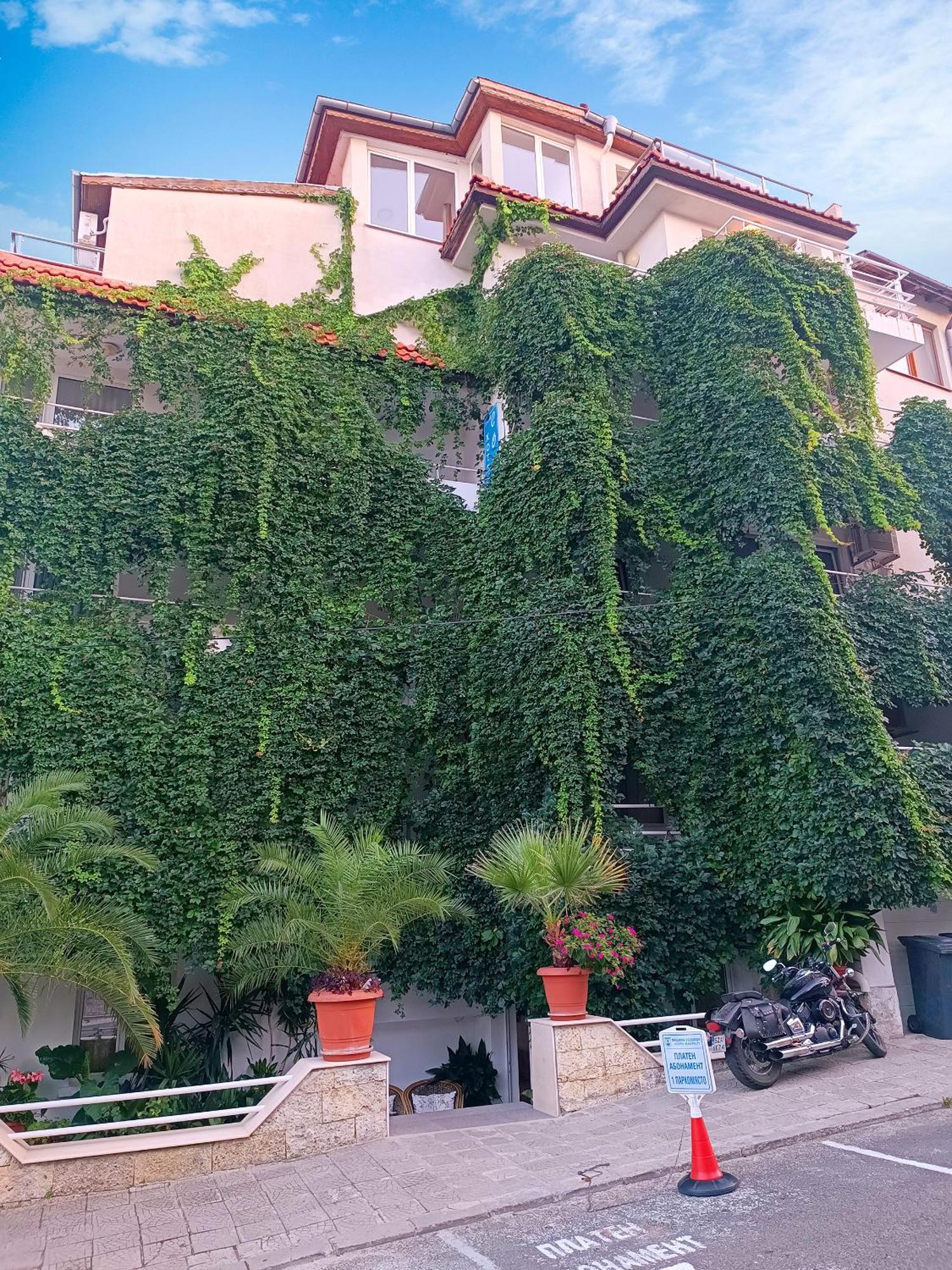 Family Hotel Sofi โซโซโปล ภายนอก รูปภาพ